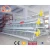 Galvanized welded wire animal cages hot sale layer battery chicken cage for egg poultry farming