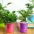 Import garden flower pot square self watering colorful fashion design plastic flower pots from China