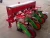 Import Garden tractor seed planter/small tractor seeder from China