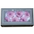 Import Gifts Forever Artificial Preserved Roses Soap Flower Heads from China