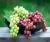 Import globe best quality grape top grade fresh red grape for sale/Fresh grapes from Philippines