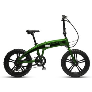 Golden supplier popular model cool two wheel folding electric bicycle