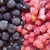 Import Good frozen strawberries price organic iqf blueberry from China
