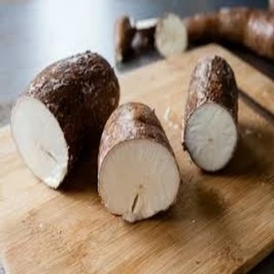 Good Quality Fresh Cassava Available