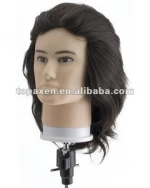 Buy Fiberglass Mannequin Head With Shoulders And Big Breast Half Body For  Wig Display from Guangzhou ARC Imp. & Exp. Co., Ltd., China