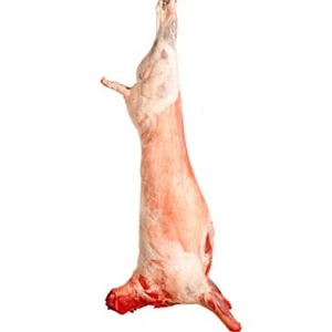 Halal 6 Cuts Lamb Meat,