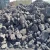 Import High Grade Manganese Ore from South Africa