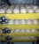 Import High hatching rate automatic Chicken egg incubator /Egg hatching machine price +86-15864187972 from China