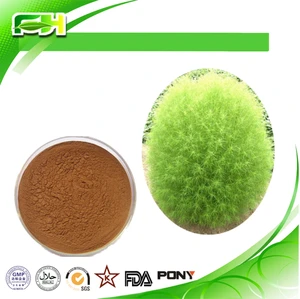 High quality 100% Natural Broom cypress extract/ Belvedere Fruit Extract