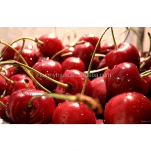 High quality cherries fruit supplier