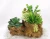 Import high quality China direct factory artificial succulent plant bonsai with good price for decoration from China
