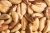 Import High Quality Ellagic Acid Selenium Mineral Raw Organic Brazil Nut Large from Brazil