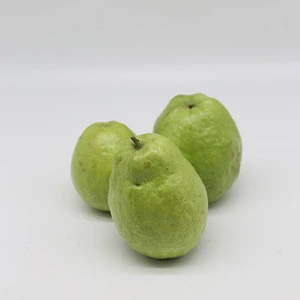 HIGH QUALITY FRESH GUAVA WITH CERTIFICATION HACCP FROM VIET NAM
