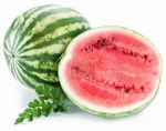 High Quality Fresh Water Melon Supplier