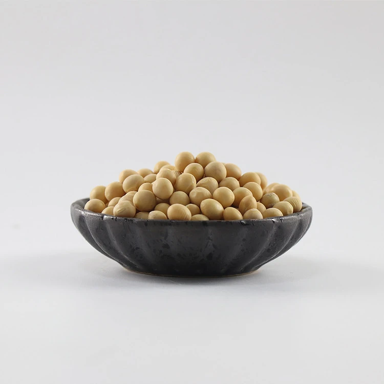 High Quality GMO/ non-GMO Soybeans for Food and oil Exprassing in Bulk