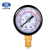 Import High Quality pressure gauge for water treatment plant system 2.5inch bottom connection from China