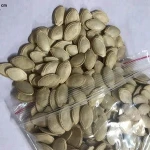 High Quality Pumpkin Seeds