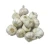 Import High Quality Wholesale White Fresh Garlic From Farms In Thailand from Thailand