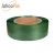 High Strength Tenacity Polyester Packing Band Pet Plastic Strapping for Sale
