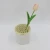 Import Home Decoration Small Rustic Vintage Style Handmade Stone Garden Flower Pot with metal lid from China