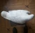 Import Home or garden White marble stone bird sculpture from China