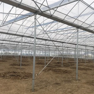 Hot-dipped galvanized frame plastic film agricultural greenhouse