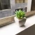 Hot indoor decoration Mini Artificial Plants potted with mini white square base for home decoration