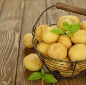 Hot sale 2016 new crop high quality fresh potato