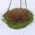 Import hot sale beautiful plants grass hanging basket for home indoor decoration from China