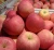Import Hot sale New harvest frozen fresh fruit apple from China