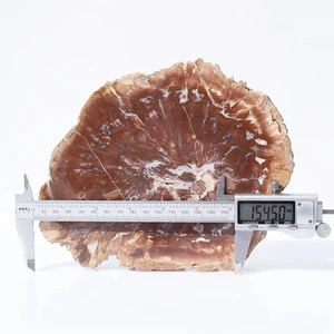 Hot Sale Petrified Wood Natural Raw Fossil Stone For Home Decoration