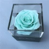 Hot sale preserved fresh roses in acrylic gift box everlasting roses jewel case for Valentine&#x27;s Day