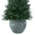 Import Hot sale wholesale artificial topiary cedar cypress tree potted christmas tree bonsai decoration for indoor from China