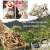 Import Hot sell IQF dried shitake mushroom from China