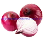 Hot Selling Fresh Onion Top Quality Low Price Onion, Red Onion Fresh Red Onion Shallot China Fresh Red Onion, Healthy of Red Onion and Yellow.