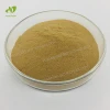 Hot Selling Natural Oyster Shell Extract Powder Oyster Peptide powder