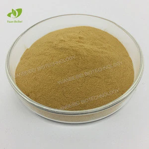 Hot Selling Natural Oyster Shell Extract Powder Oyster Peptide powder