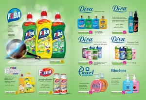 Household Detergents