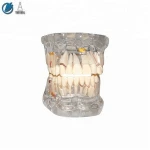 Human Medical Science Subject Dental Anatomical Model