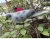 Import hunting bait pigeon Decoy dove Outdoor View Wind Turtledove Emulational Simulated Turtledove Model from China