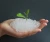 Import Hydrogel Soil-Super Absorbent Polymer for agriculture planting from China