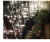 Import Indoor Outdoor Waterproof LED Christmas Light Decoration Christmas Tree Lights LED Strings from China