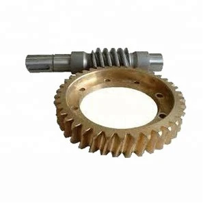 ISO9001 Certificated Factory OEM High Precision Worm Gear