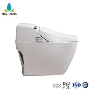 Japanese Smart Toilet Seat Bidet Spray Automatic Intelligent Cover