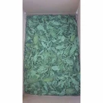 jew mallow (molokhia)