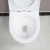 Import JOININ foshan Modern design ceramic sanitary ware one Piece WC Toilet JY1010 from China