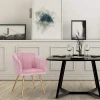 Kitchen Side armrest Pink Velvet dining room chair with golden metal legs