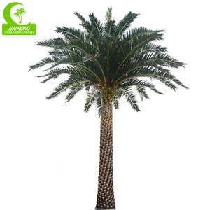 Large Artificial date palm phoenix sylvestris tree of big ornamental palm trees plants