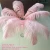 Import Large White Ostrich Feathers for Wedding Centerpiece imported from South Africa from China