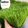 luxgrass 14000 dtex football grass